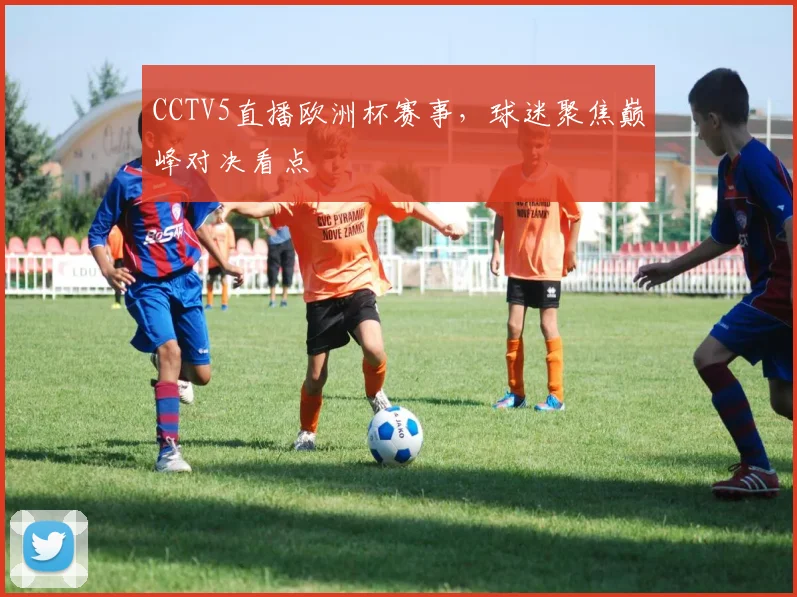 CCTV5直播欧洲杯赛事,球迷聚焦巅峰对决看点