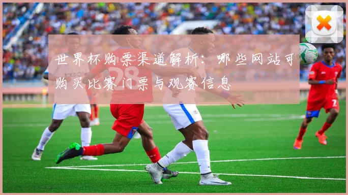 世界杯购票渠道解析：哪些网站可购买比赛门票与观赛信息