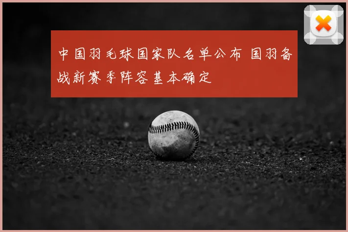 中国羽毛球国家队名单公布 国羽备战新赛季阵容基本确定